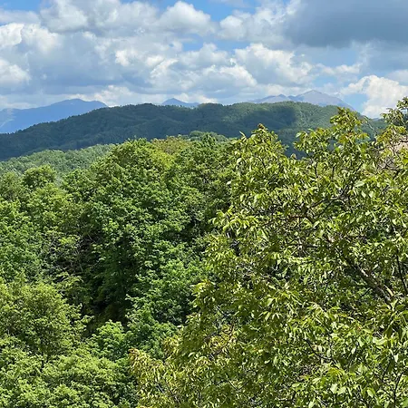 Nel Bosco Di Giove - Diffuso Bed & Breakfast Collegiove
