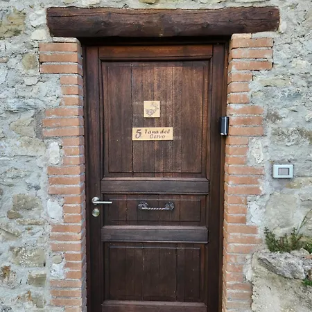 Nel Bosco Di Giove - Diffuso *