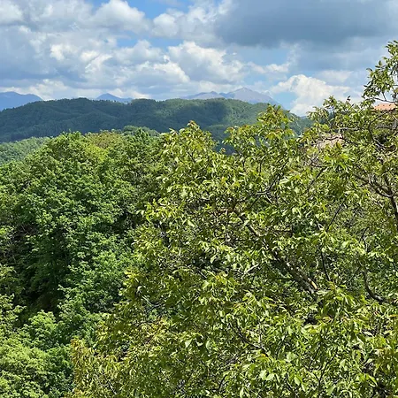 Nel Bosco Di Giove - Diffuso Bed & Breakfast