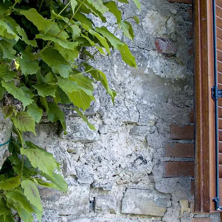 Nel Bosco Di Giove - Diffuso Bed & Breakfast *