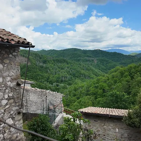 Nel Bosco Di Giove - Diffuso